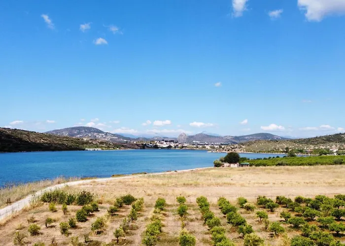 Ktima Klimentini * Vivári